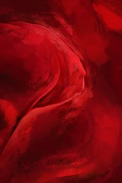 Red Roses Stock Photos