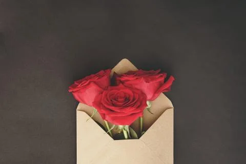Red roses popping out of envelope in dark background. Romantic Valentine's Day Stock Photos