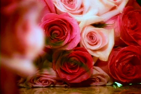 Red-roses-rack-focus Vídeo Stock 753628