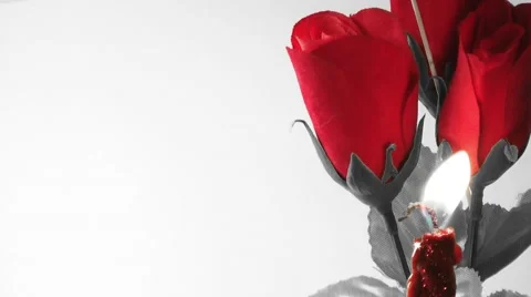 Red Roses &amp; Red Candle- (Red Solo) Stock Footage 46551204