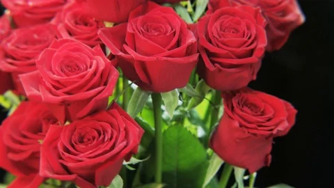 Red Roses Rotating on Black Background Stock Footage 69900684