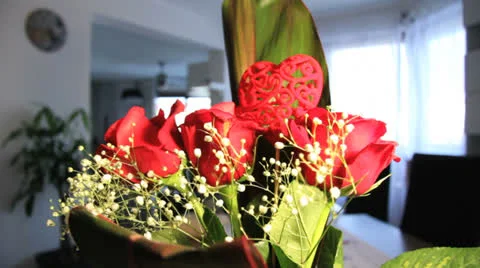 Red roses rotating close up Stock Footage 24821966