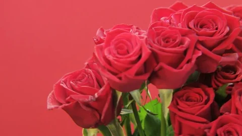 Red Roses Rotating on Red Background Stock Footage 69860951