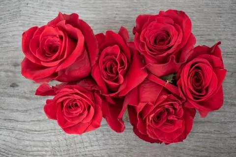 Red roses in a rustic background. Stock Photos