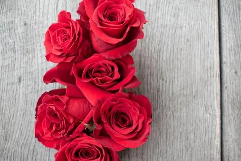 Red roses in a rustic background. Roses on a gray wooden background Stock Photos
