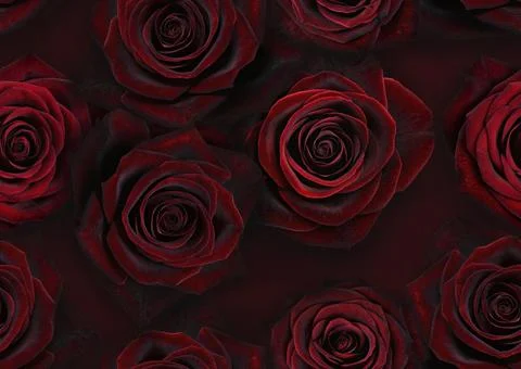 Red roses. Seamless background of red roses. Red burgundy roses 스톡 일러스트