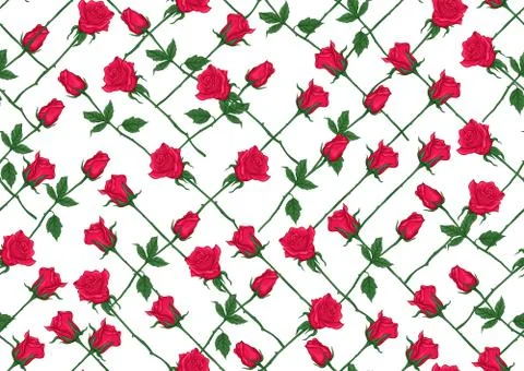 Red roses seamless pattern, background. Stock Illustration