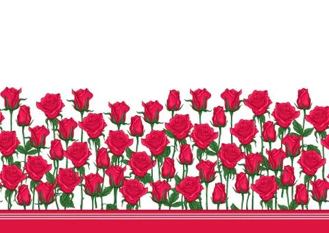 Red roses seamless pattern, background. Illustrazione stock