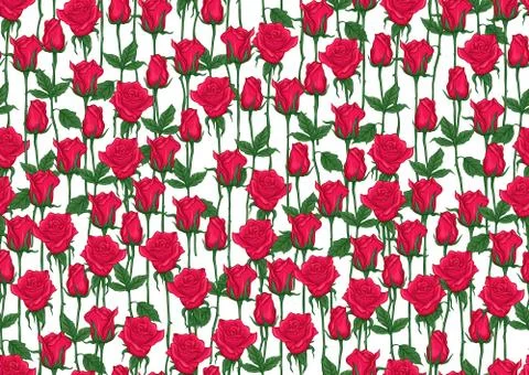 Red roses seamless pattern, background. Stock Illustration