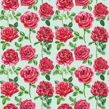 Red roses, Seamless pattern with delicate flower, watercolor painting. Floral Stock Illustration