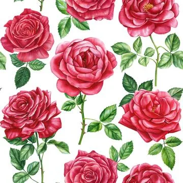 Red roses, Seamless pattern with delicate flower, watercolor painting. Floral Stock Illustration