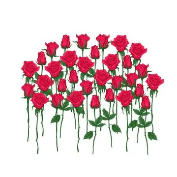 Red roses set.  Multicolor vector illustration. Element for design. Stock Illustration