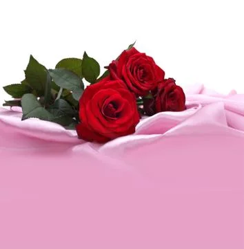 Red roses on silk Фото