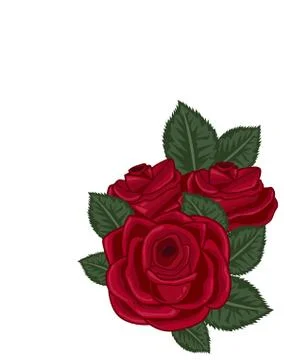 Red roses vector illustration Stock Illustration