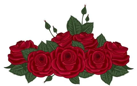 Red roses vector illustration on white Stock Illustration