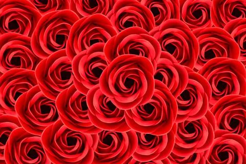 Red roses view from above, pattern. Solid background. Stock Photos