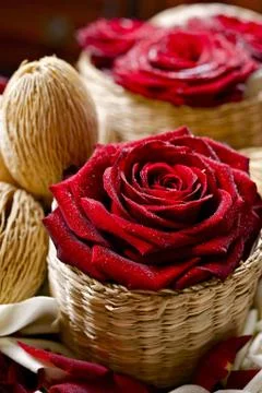 Red roses in wattle baskets Stock Photos