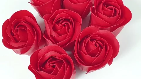 Red roses on a white background rotate, buds isolate for international womens Stock Footage 148414396