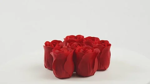 Red roses on a white background rotate, buds isolate for international womens 스톡 동영상 148882041