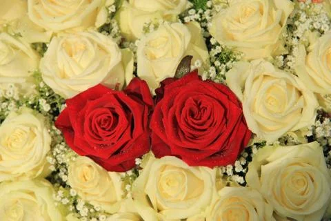 Red roses in a white rose bouquet Foto stock