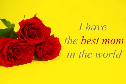 Red roses on a yellow background the and I HAVE THE BEST MOTHER IN THE WORLD. Stock Illustration
