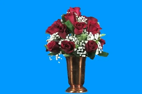 Red Roses2 Stock Footage 18509867