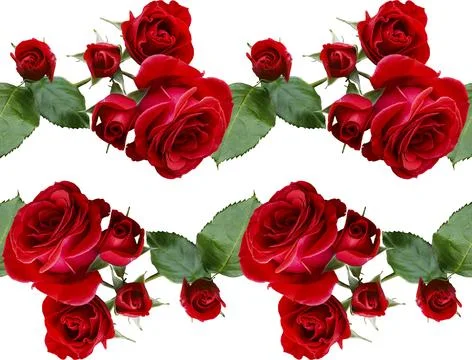 Red roses,seamless composition element,floral frame design,banner,wedding i.. Stock Photos