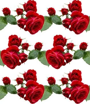 Red roses,seamless composition element,floral frame design,banner,wedding i.. Stock Photos