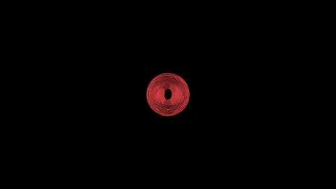 Red rotating ring with geometric center on black background Stock Footage 304832554