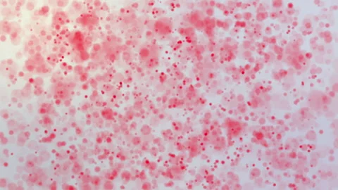 Red round particles move on a light background. abstract animated background 3d  Stock Footage 95558597