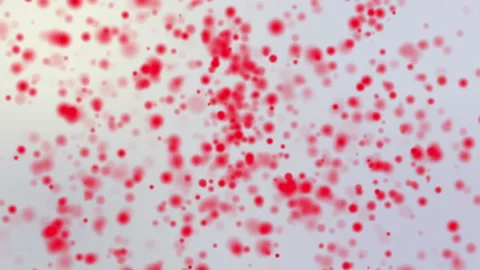 Red round particles move on a light background. abstract animated background 3d  Stock Footage 95558640