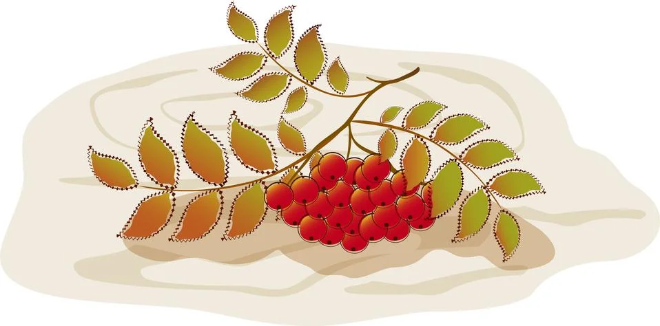 Red rowan on a background of tree. EPS10 vector illustration Stock Illustration