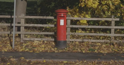 Red Royal Mail Postbox in front of Autumn Leaves Stock Footage 258655868
