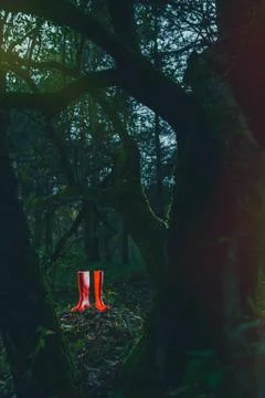 Red rubber boots in the forest Stock Photos