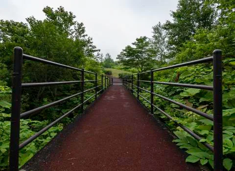 Red rubber path of strength bridge cross small river Фото