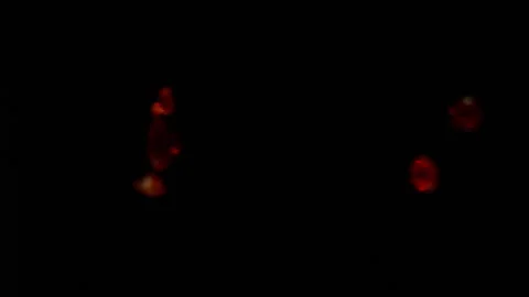 Red Rubies falling in slow motion HD Stock Footage 253060027