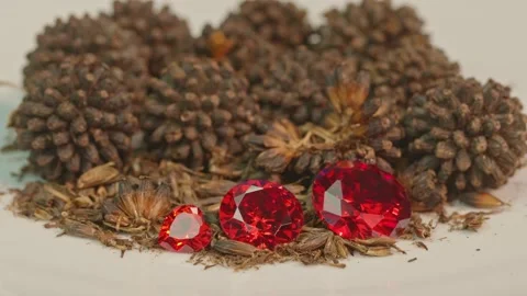 Red ruby diamonds on a new economic crop seed Stock Footage 161647278