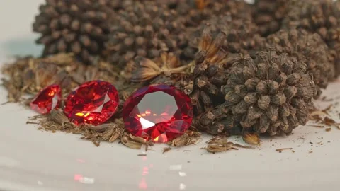 Red ruby diamonds in a pile of Kratom seeds. Stock Footage 160931344