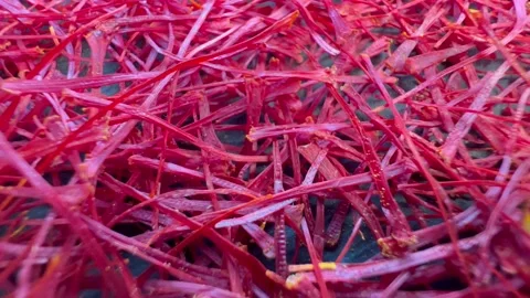 Red saffron threads macro shot Stock Footage 171235272