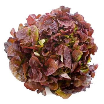 Red salad Stock Photos