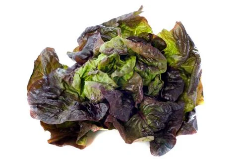 Red salad Stock Photos