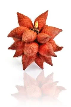 Red salak Stock Photos