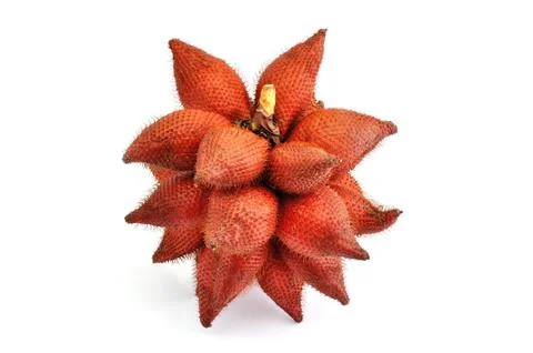 Red salak Stock Photos