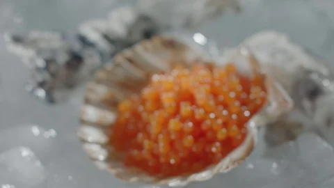 Red Salmon Caviar in scallop shell Oyster. Fish eggs luxury Snack. Stock Footage 113998587