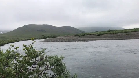 Red salmon spawning, Underwater shooting. Chukotka. Russia. Stock Footage 95927035