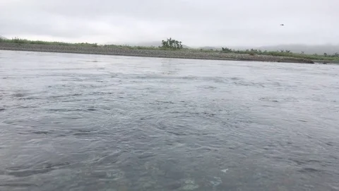 Red salmon spawning, Underwater shooting. Chukotka. Russia Stock Footage 95927144