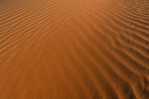 Red sand background with shadows from sunset sun, shot in desert at summer Foto stock