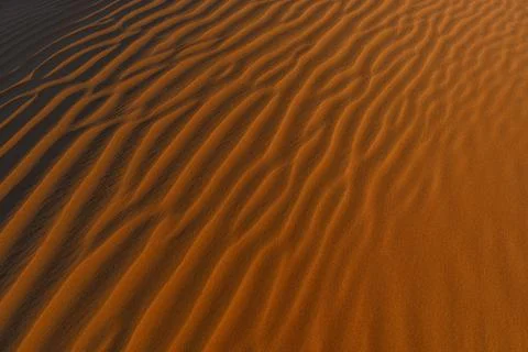 Red sand background with shadows from sunset sun, shot in desert at summer Foto stock