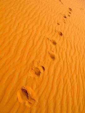 Red sand desert Stock Photos