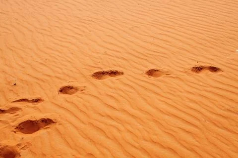 Red sand desert Stock Photos